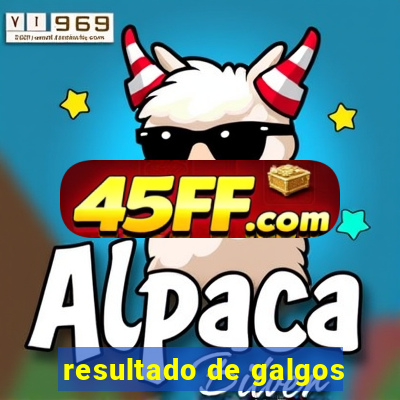 resultado de galgos